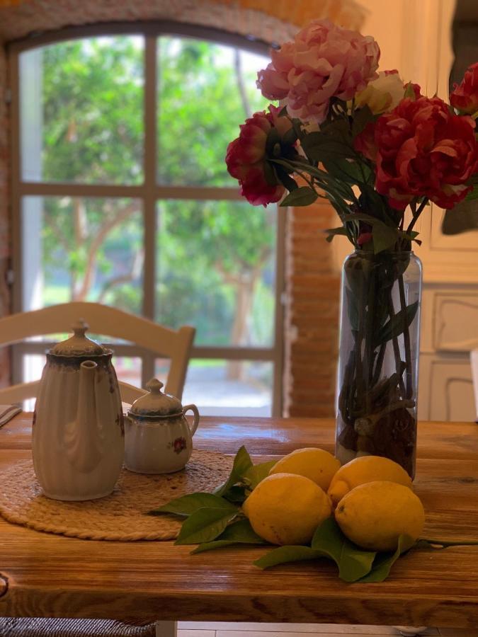 Il Giardino Dei Limoni Bed & Breakfast Суверето Екстериор снимка
